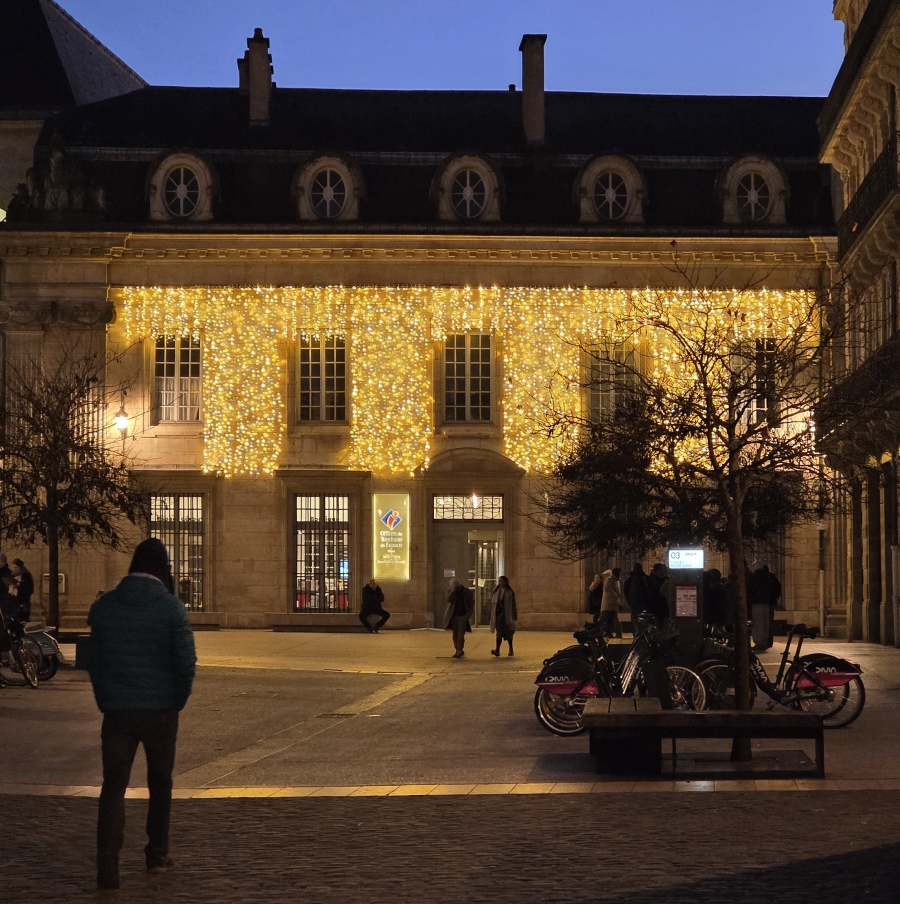 a building in dijon, france covered in warm lights 