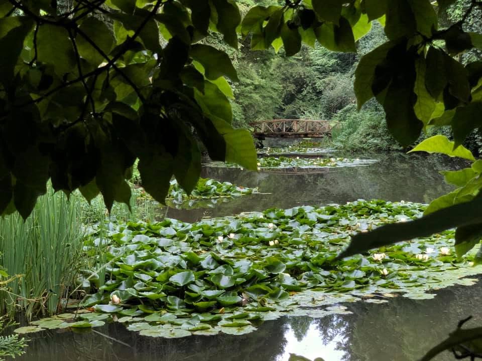 Hidden Gems of Romania | Visit Transylvania Like a Romanian 7 parcul dendrologic simeria