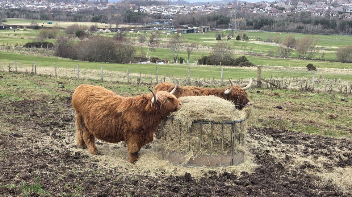 Things to Do Near Edinburgh