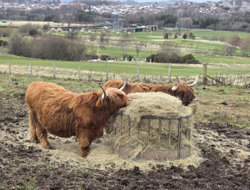 Things to Do Near Edinburgh
